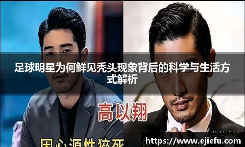 DG视讯官方网站